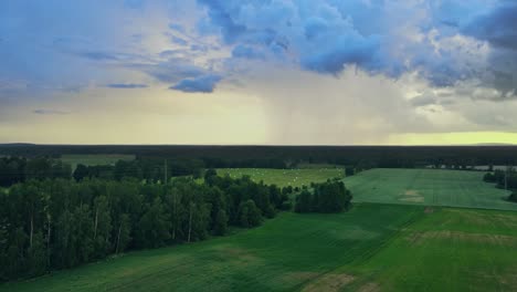 panoramic view of green fields and forest trees near hjo, sweden - aerial shot