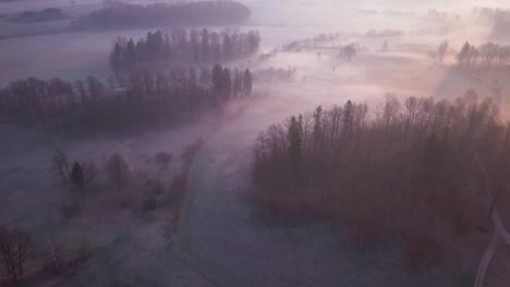 aerial footage of a forests and trees of a landscape park in lower silesia, poland