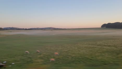 Viajando-En-Un-Tren-Ferroviario-Irlandés-A-Través-De-Un-Hermoso-Campo-De-Hierba-Rural-Durante-El-Día-En-Irlanda