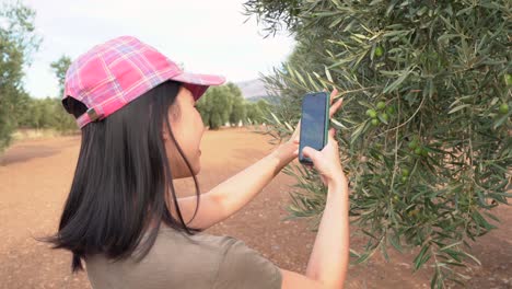 woman recording a video of tree