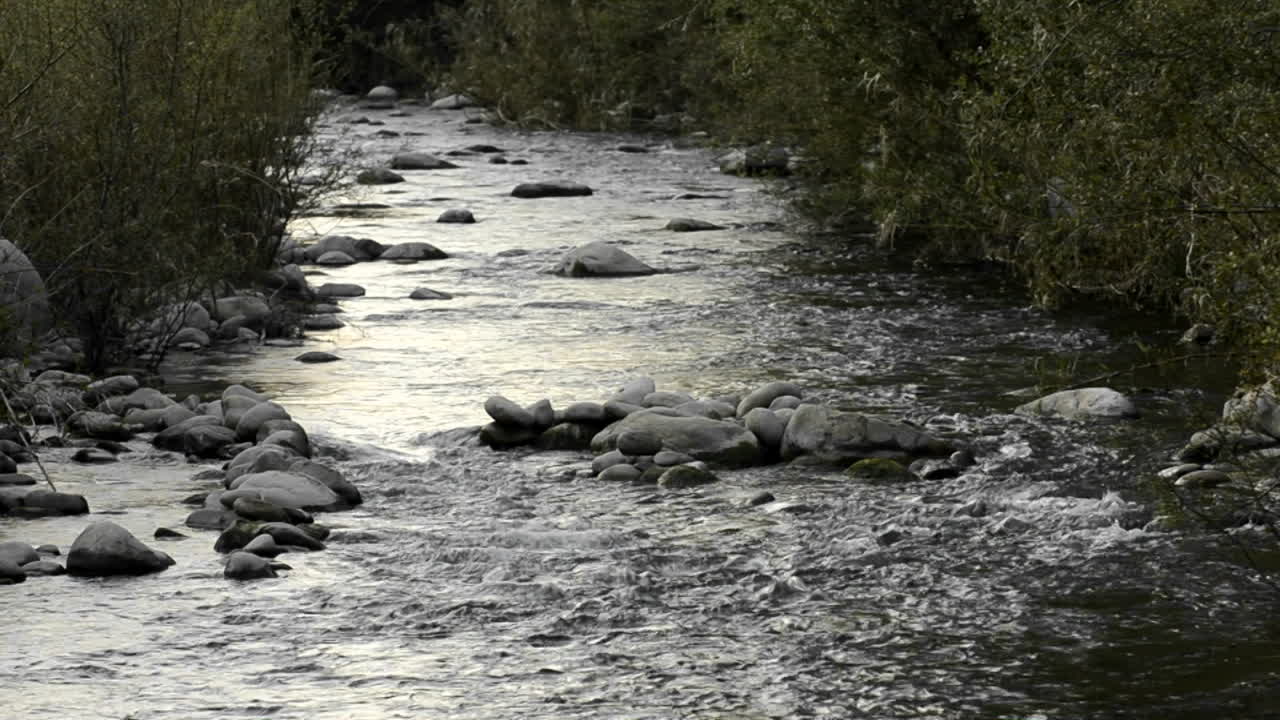 Confluenza del torrente San Antonio nel fiume Ventura a Casitas Springs, California.