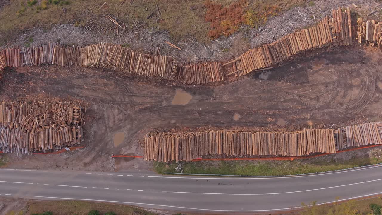 Neatly piled logs in mountain woods, aerial view, Dolomites