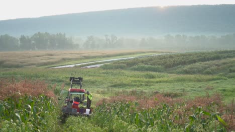 farmer standing on a flatbed behind a tractor giving instructions to pickers in the cornfield as the sun rises above a mountain in the distance