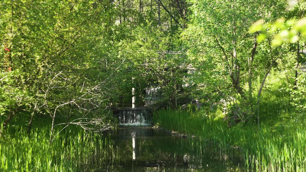 봄에 느린 동작으로 식물원 한가운데 있는 작은 폭포