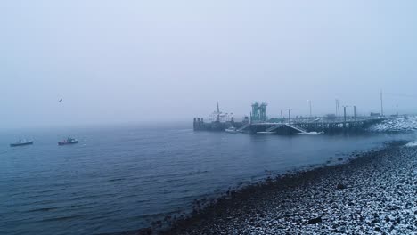 bird flying near a harbor in a snowy day