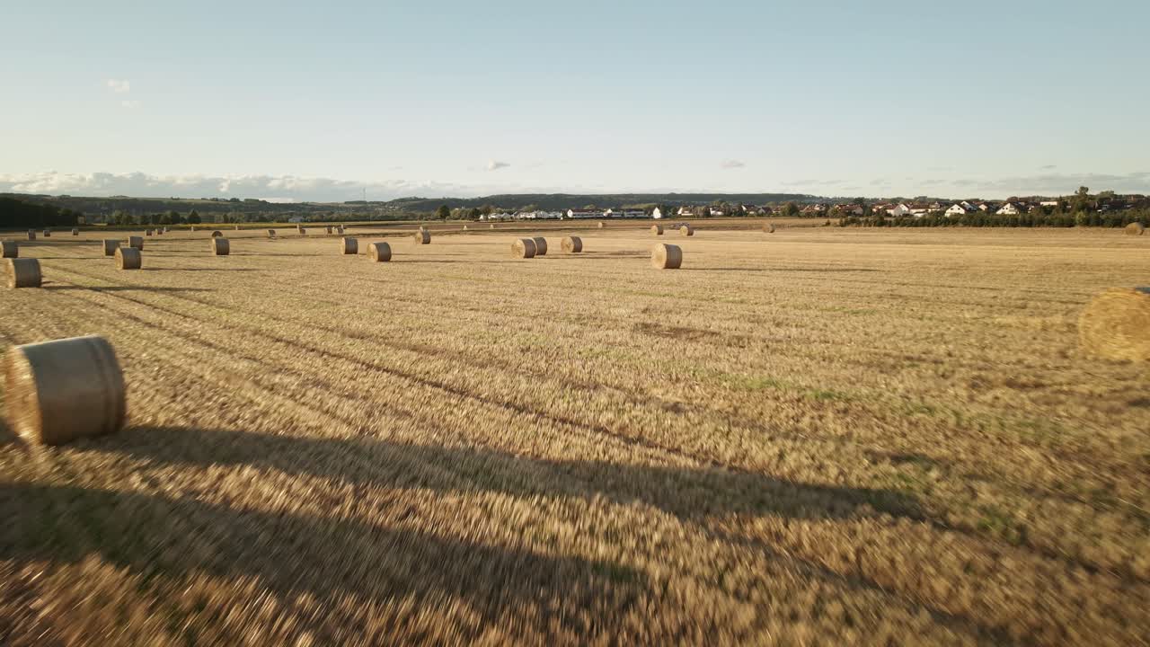 Drone che vola in avanti sopra un campo dorato con una fila ordinata di balle di fieno arrotolate, catturando la tranquilla campagna rurale senza traffico.