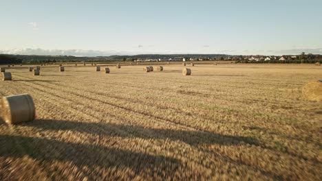 drone flies forward over a golden field with a neat line of rolled hay bales, capturing the peaceful rural farmland without any traffic.