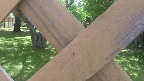 ciervo sentado en la hierba en el césped delantero de una casa en sombrero de medicina alberta canadá