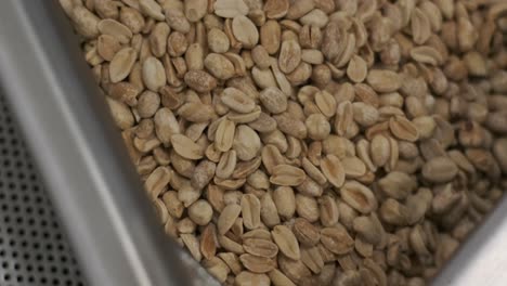 tostado de maní. operaciones de clasificación en la fábrica de nueces. línea de producción de envases de maní tostado