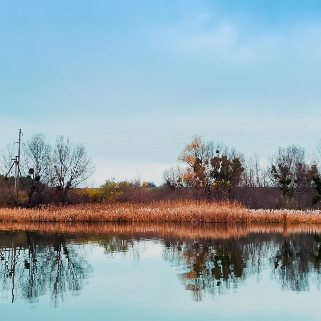 Beautiful calm river under the blue skies. Dry grass and bare trees with mistletoe plants on branches. Clear autumn day in nature