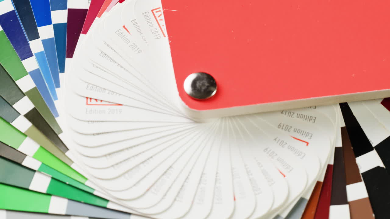 muestras y paleta de colores