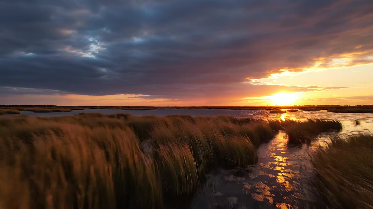 Dramatic sunset over golden coastal marsh grass and calm water