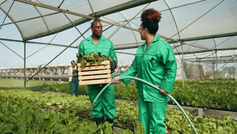 greenhouse, farming and people planting seeds