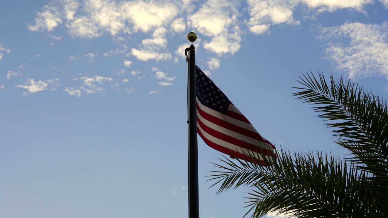American Flag Fluttering In The Wind Under A Tropical Palm Tree. Slow Motion Shot