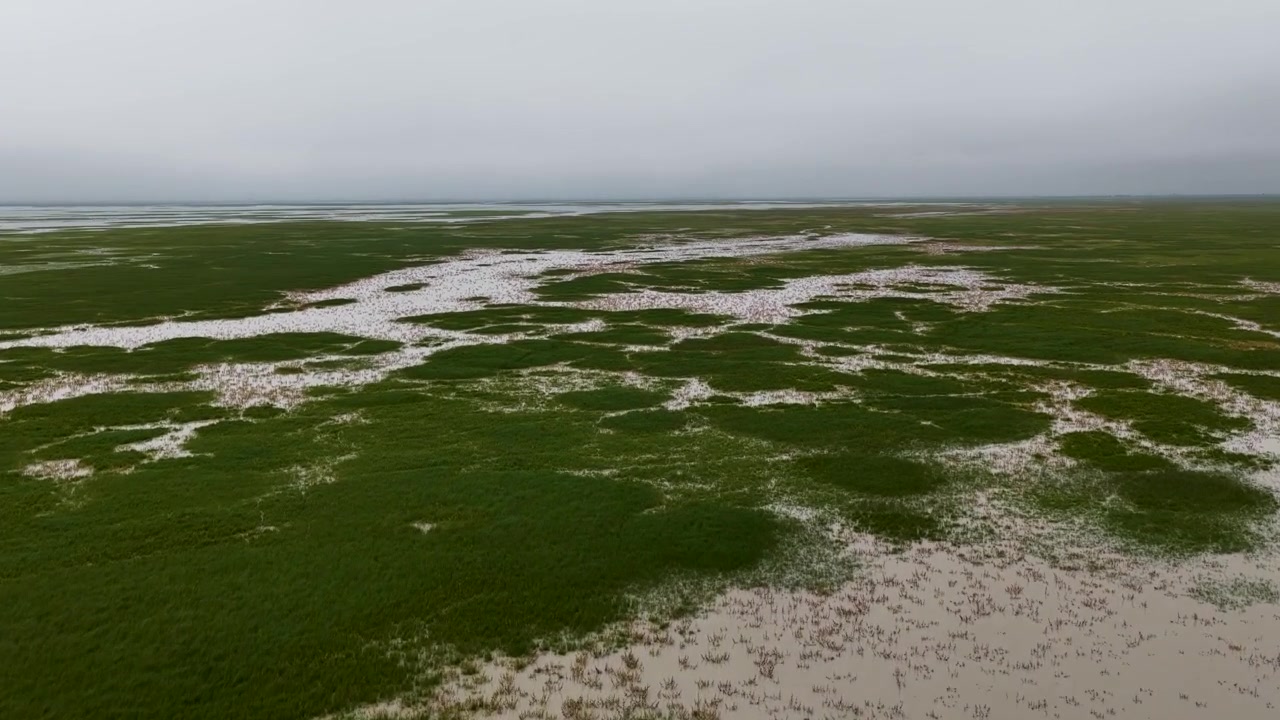 Vista aerea di una laguna e erba in Messico