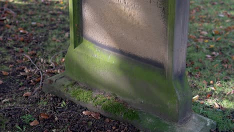 weathered gravestone with moss in an old cemetery surrounded by autumn leaves in northumberland
