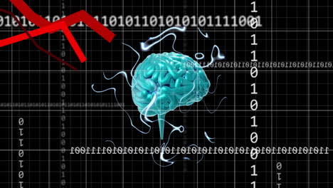 Animación-Del-Cerebro,-Codificación-Binaria-Y-Procesamiento-De-Datos-Digitales-Sobre-Fondo-Negro