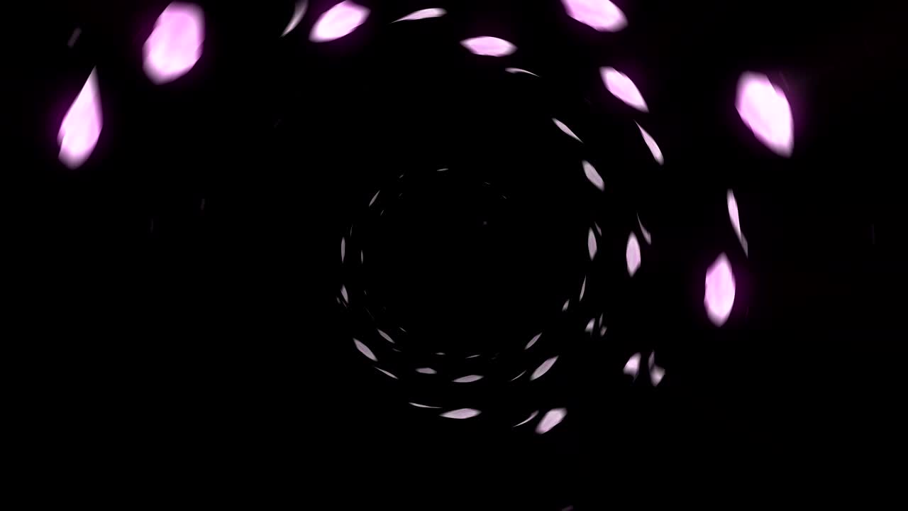 체리 꽃의 회전, cg 애니메이션, 루프 회전