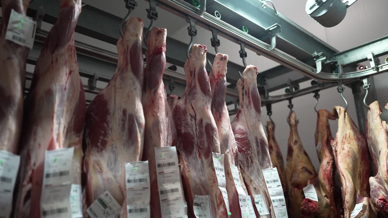Raw Meat Carcasses Hanging in a Commercial Processing Facility