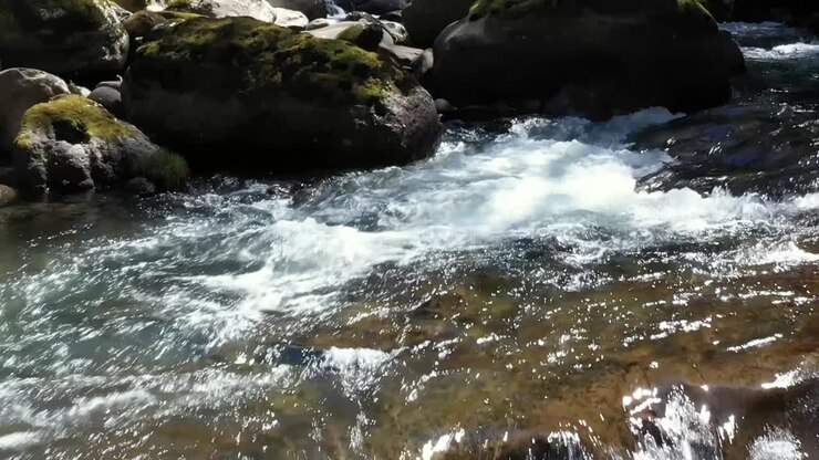 Riprese drone che volano vicino alle rocce che sporgono dall'acqua limpida e incontaminata sotto le cascate nel fiume Coquille.