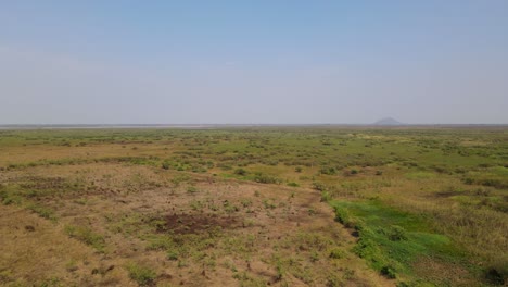 4K-Vertical-elevating-aerial-footage-showing-a-vast-horizon-of-untouched-grassland-with-a-small-hill-and-lake-in-the-far-distance-during-summer-in-Thailand-Asia