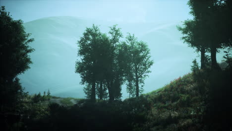 paisaje forestal de otoño con rayos de luz cálida
