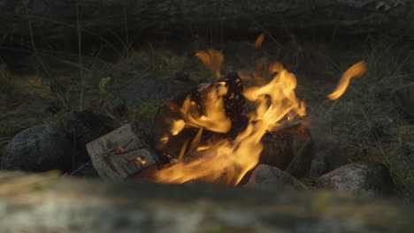 Outdoor-Lagerfeuer-Im-Wald---Tagsüber-Super-Zeitlupe