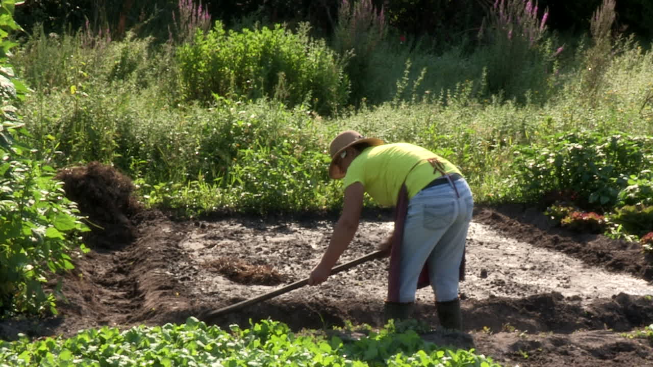 una agricultora, cavando la tierra para regar