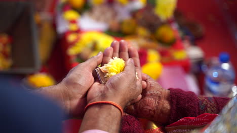 closeup view of hands of two people holding flower petals during religious ceremony in india, asia