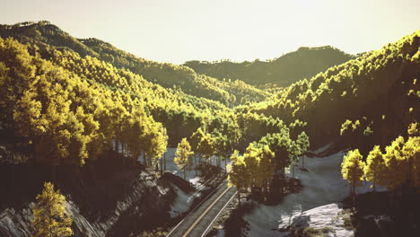 scenic view of mountains with vibrant foliage near a winding road