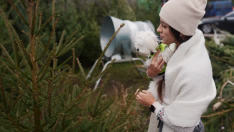 mujer y perro en la granja de árboles de navidad