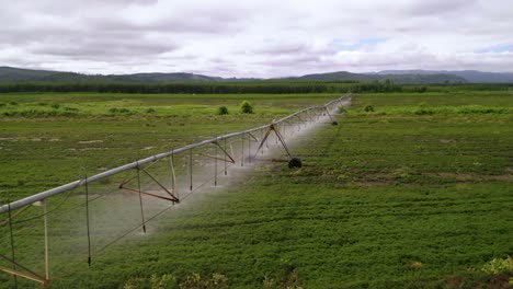 Un-Pivote-De-Riego-Que-Riega-Un-Campo-Durante-El-Día---Toma-Aérea