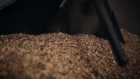 coffee roasting process - raw "green" coffee beans.