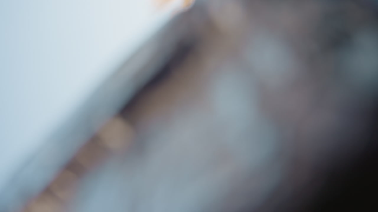 Giovane uomo bianco che guarda dentro una scatola mentre disimballa una consegna di cibo all'aperto sotto alberi autunnali, POV camera all'interno del pacco, mani che prendono i prodotti, espressione curiosa, controluce solare, inquadratura stretta