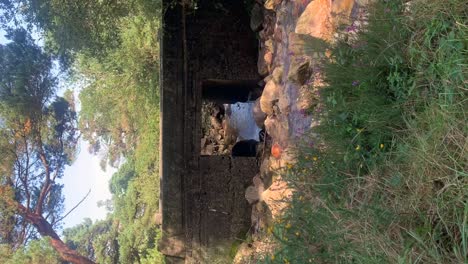 Handheld-pan-across-scenic-bridge-in-Mourne-forest-on-path-to-Slieve-Donard