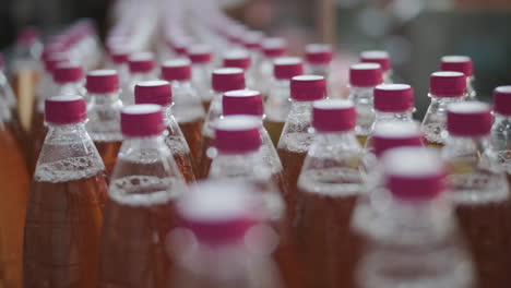 bottles on a production line