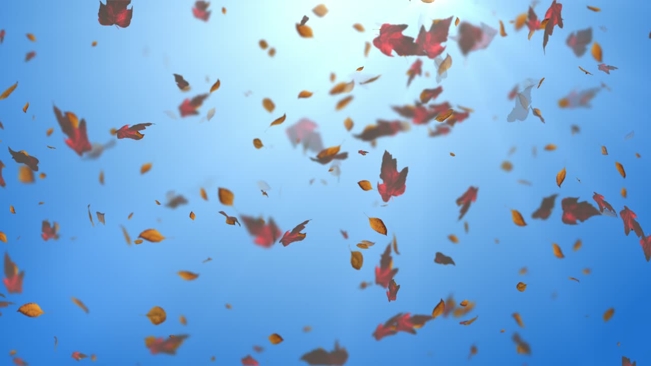 떨어지는 잎의 애니메이션 루프 가을