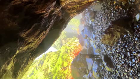 stunning waterfall in lush forest