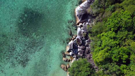 Paraíso-Tropical,-Aislada,-Serena-Playa-De-Arena-Junto-A-Un-Frondoso-Bosque,-Aguas-Cristalinas-Y-Azules.