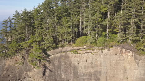 Aerial-dolly:-vertical-steep-cliff-face-with-dense-rainforest-on-top