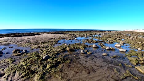 Marea-Baja-Expone-Rocas,-Arena-Y-Líquenes-A-Lo-Largo-De-La-Playa-Punta-Rocosa,-Puerto-Peñasco,-Golfo-De-California,-México