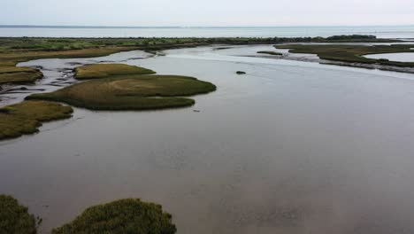 Feuchtgebiete,-Die-Mit-Den-Gewässern-Der-Bucht-Von-Arcachon-Im-Naturschutzgebiet-Domaine-De-Graveyron-In-Frankreich-Verschmelzen,-Luftüberführung