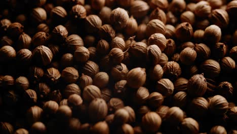 Circular-Macro-Shot-Over-Fresh-Organic-Coriander