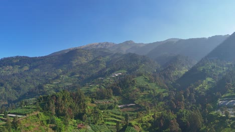 Aerial view of green terraced scenery and mountain forest on hillside. Drone scenery of tropical landscape on Mount Merbabu, Indonesia