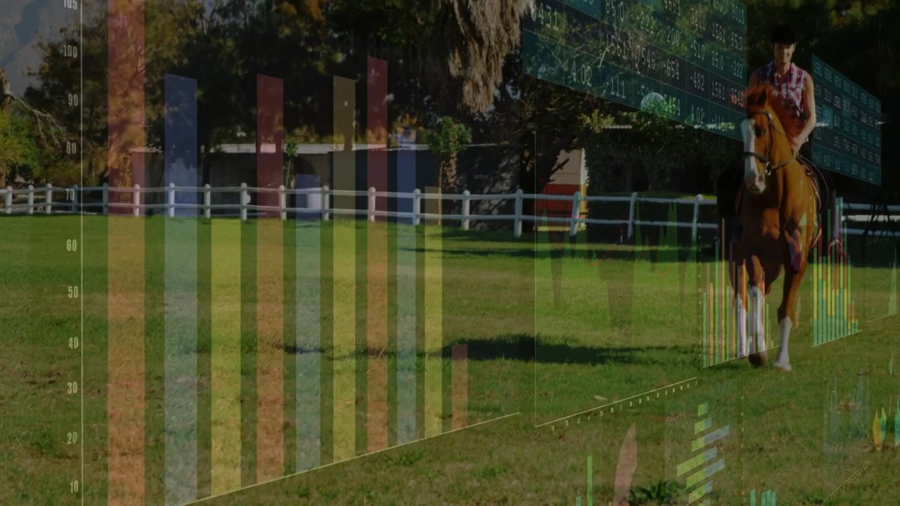 Cavaleiro guiando o cavalo para a esquerda ao longo de uma linha para um exercício de equitação enquanto barras coloridas se movem sobrepondo o cavaleiro