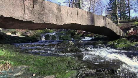 water in a creek in christieparken in bergen, norway