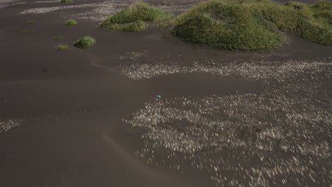 aerial - rugged coastline above hvitserkur,vatnsnes, iceland, wide shot forward