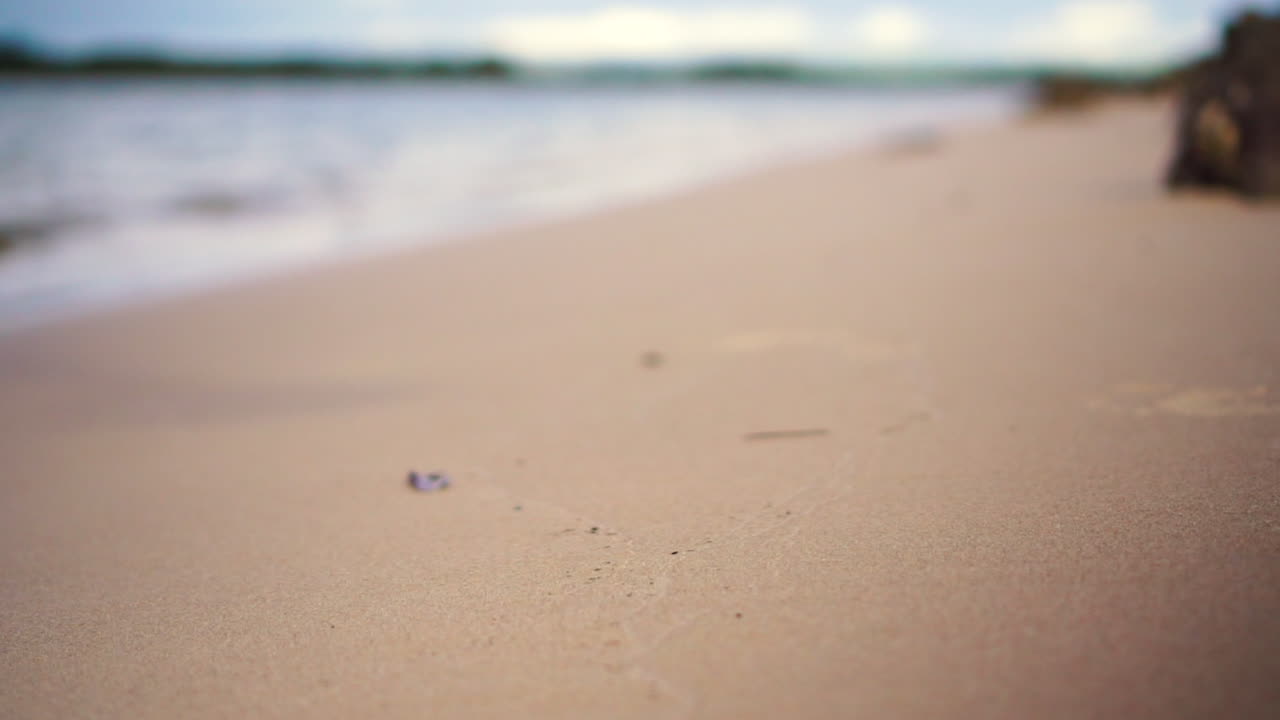 평온 한 모래 해변 에서 플라스틱 병 을 집어 들고 있는 느린 움직임 의 클로즈업