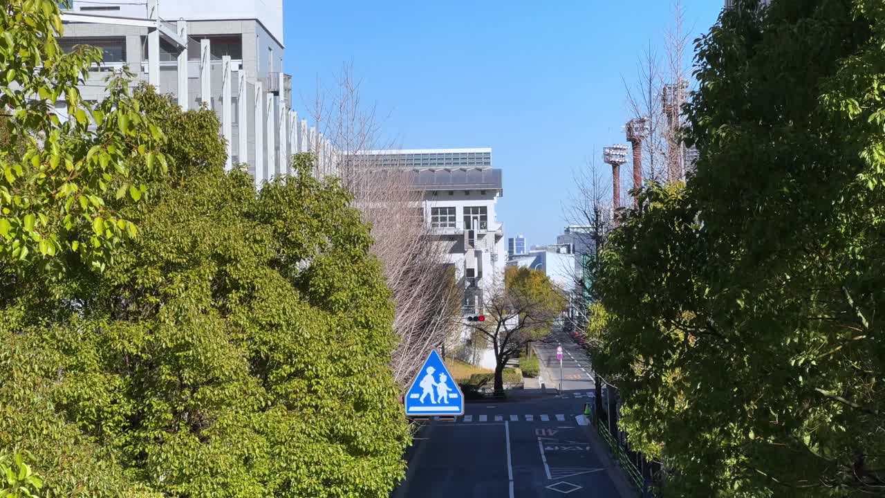 A quiet street in Harumi, Tokyo, framed by trees on either side, with a pedestrian sign.