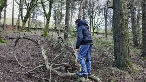 Young-boy-playing-in-the-woods,-climbing-on-old-dead-tree-trunk-and-balancing-in-the-outdoors